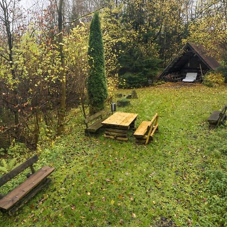 Truth Ruhe Oase, Naturblick, Smart Tv, Terrasse Brilon Exteriör bild